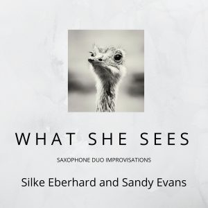 What She Sees cover | Sandy Evans and Silke Eberhard